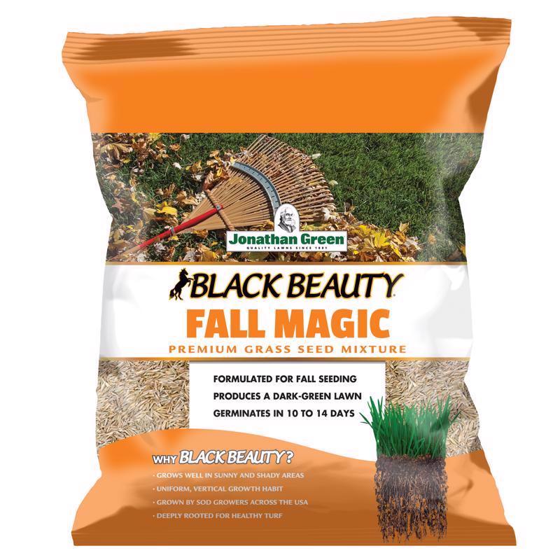 FALL MAGIC GRASS SEED 7# on Sale