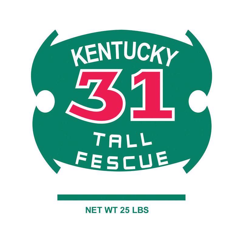 FESCUE TALL KENTUCKY 31 Sale