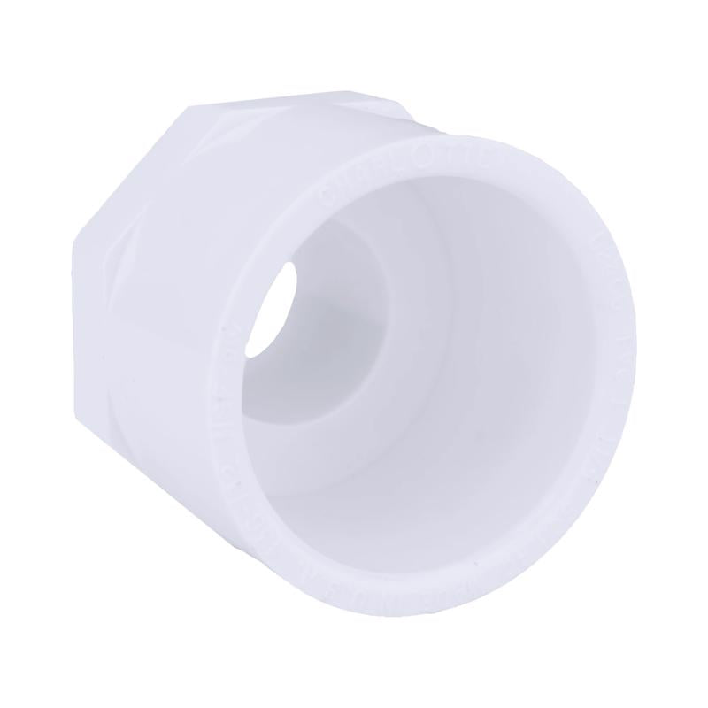 ADAPTR SCH40PVC1MPT1.25S Online Sale