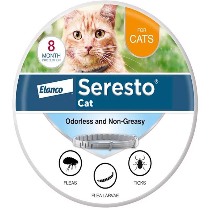COLLAR FLEA&TICK CAT Online Hot Sale
