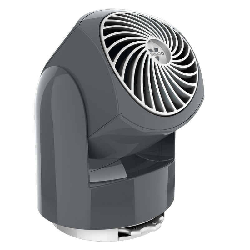 AIR CIRC FLIPPI V6 GRAY Online now