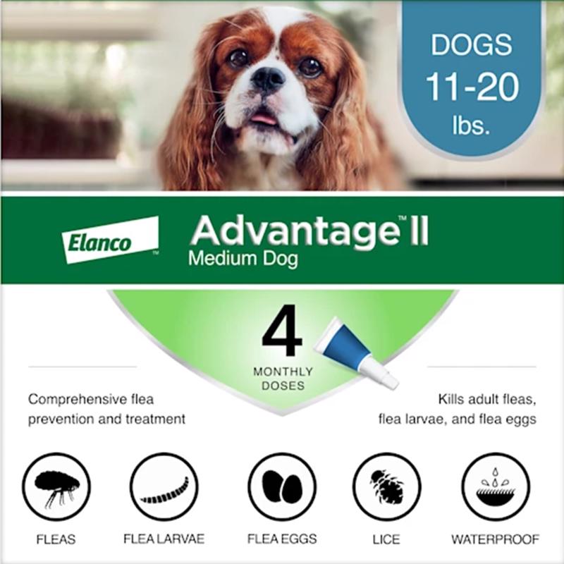 ADVANTAGE II MED DOG Online now