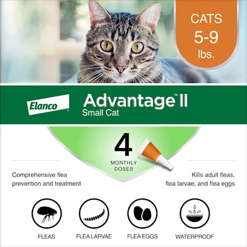 ADVANTAGE II SML CAT on Sale