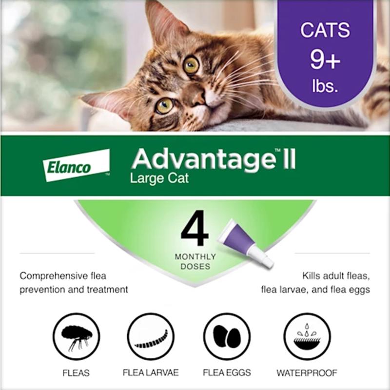 ADVANTAGE II LRG CAT Discount