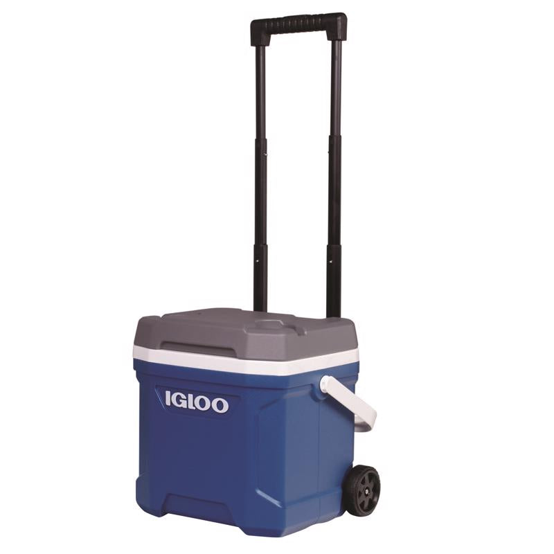 COOLER WHLD BLU/GRY 16QT Online now
