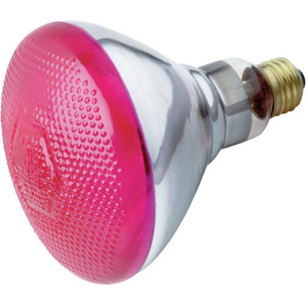 100W BR-38 PINK 120V. Online