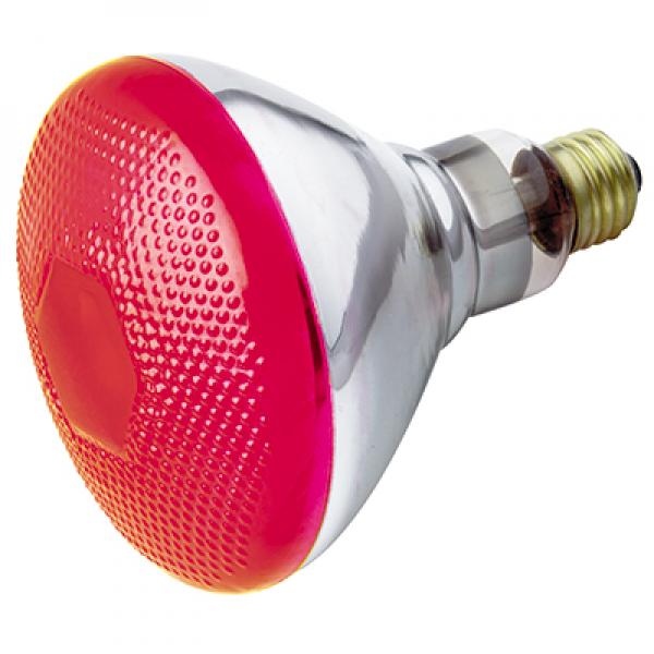 100W BR-38 RED 120V. Discount