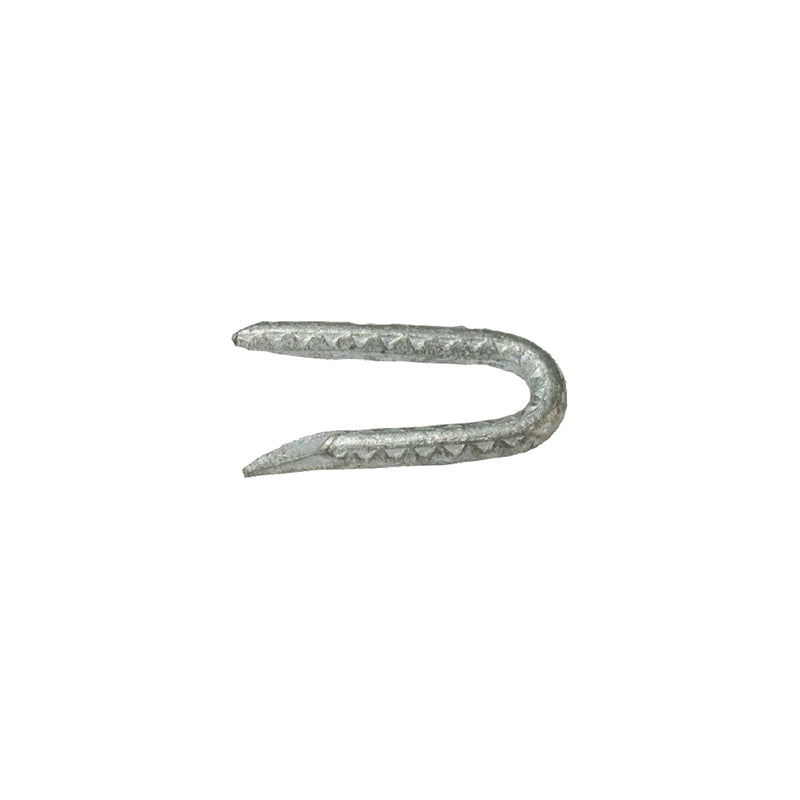 FNCE STAPLES 1.75″ 5# Hot on Sale