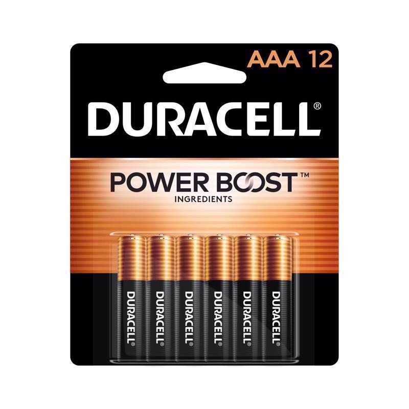 BATTERY ALKLN AAA 12PK Online now