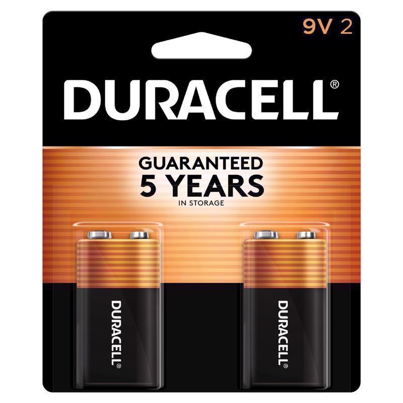 BATTERY ALKALINE 9V 2PK Online Sale