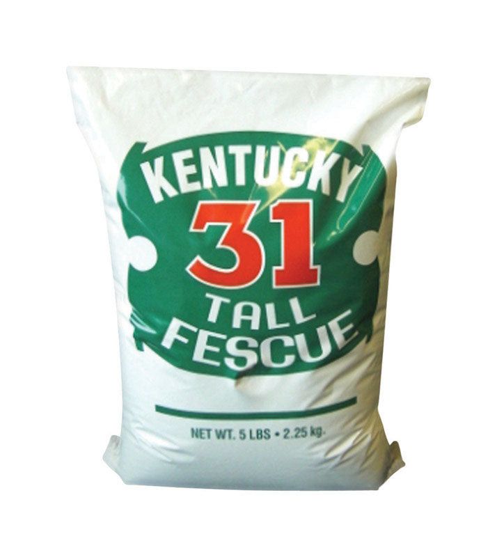 K-31 TALL FESCUE 5# on Sale