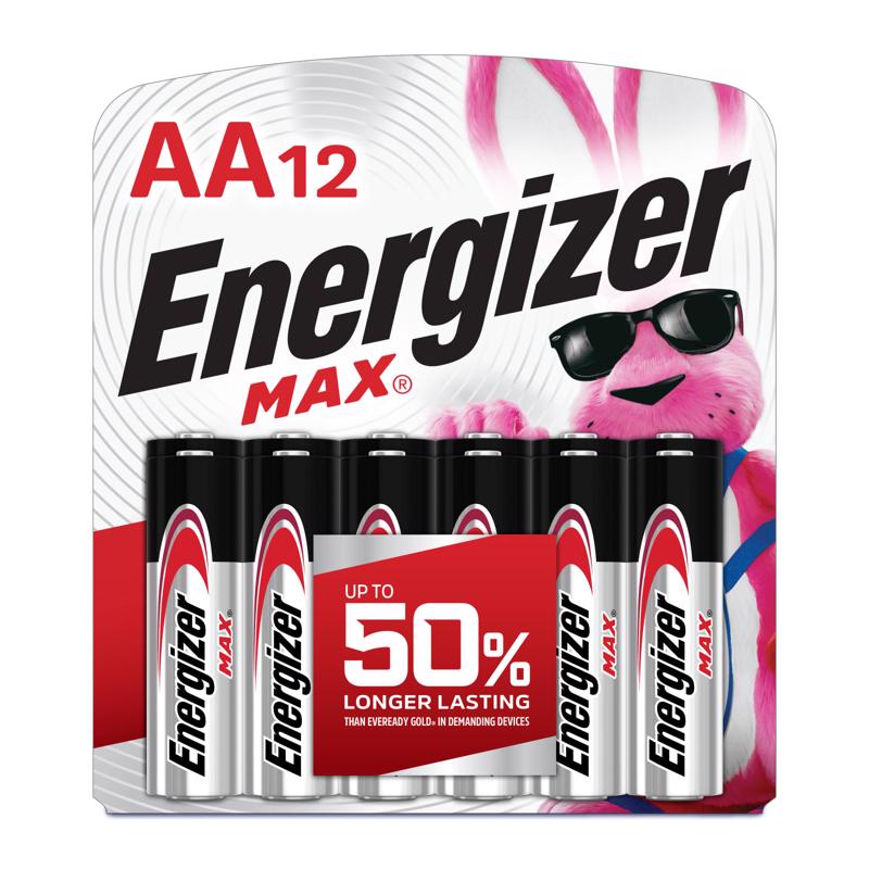 BATTERY ALKALINE AA 12PK Online Sale