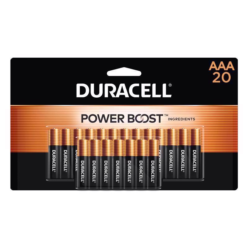 BATTERY ALKLN AAA 20PK Sale