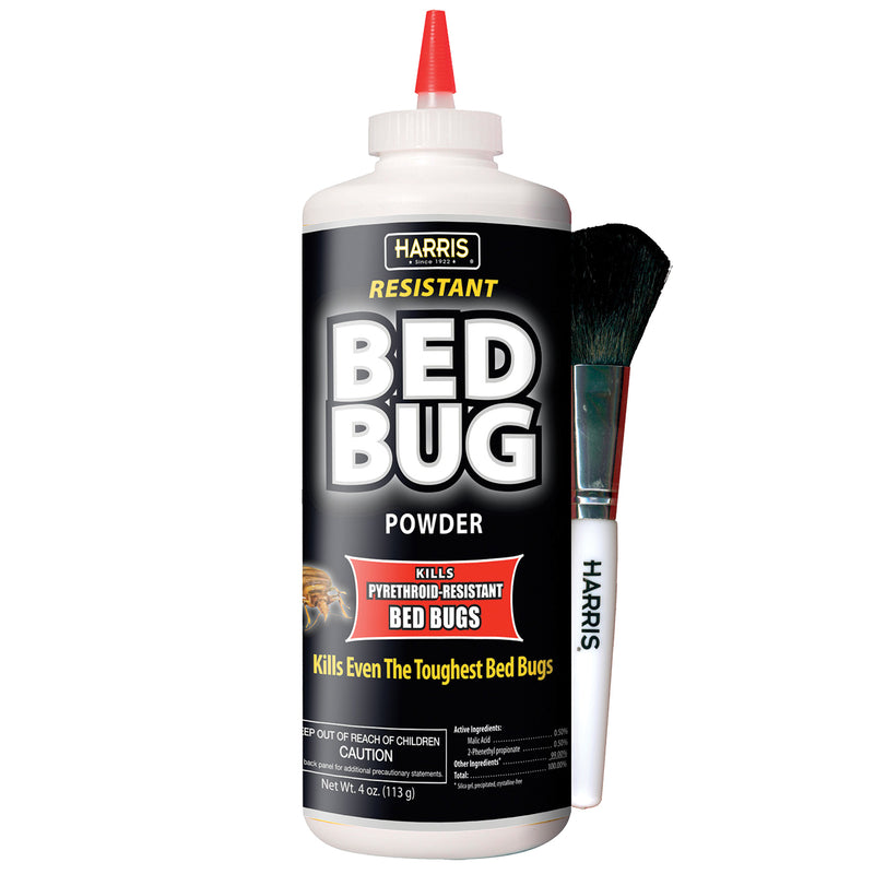BED BUG BLACK POWDER 4OZ Online Sale