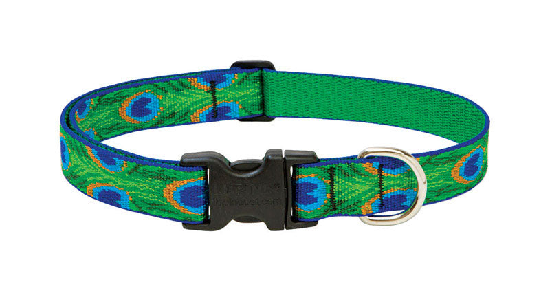 DOG COLLAR 16-28ADJ TLFR Online