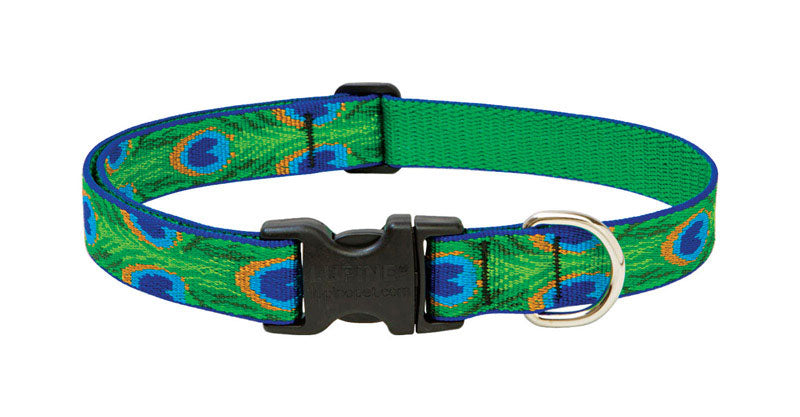DOG COLLAR 12-20ADJ TLFR Online