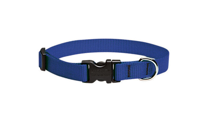DOG COLLAR 9-14″ ADJ BLU on Sale