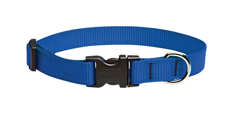 DOG COLLAR 13-22″ADJ BLU Hot on Sale