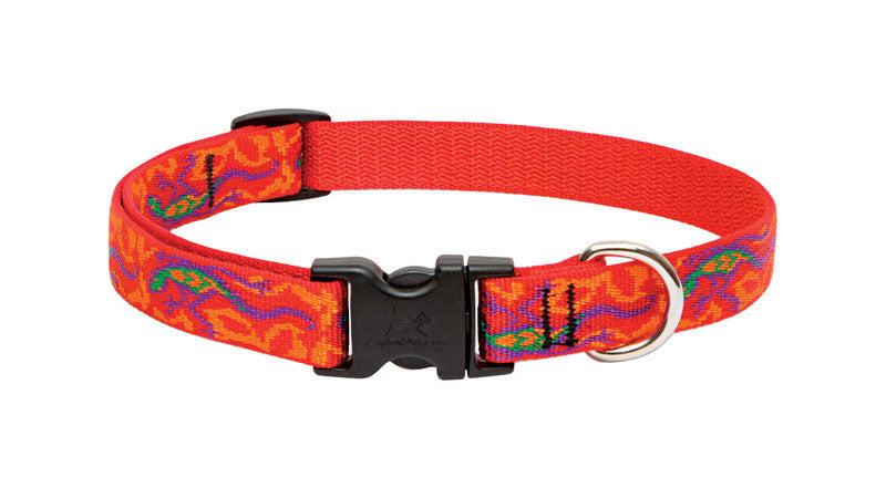 DOG COLLAR 13-22ADJ GGKO Online now