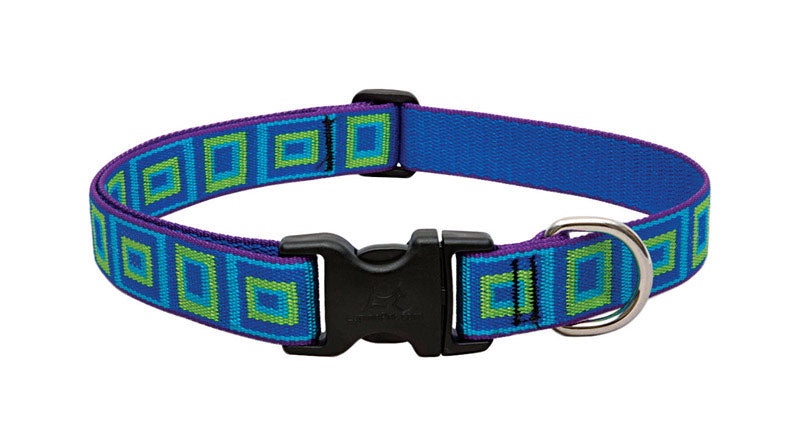 DOG COLLAR 12-20ADJ SGLS on Sale