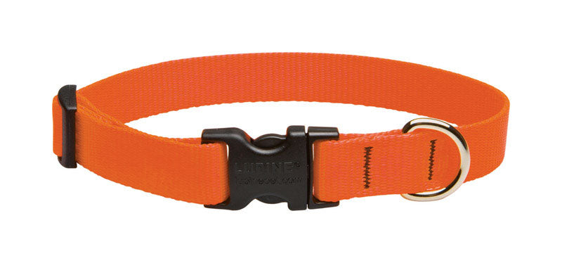DOG COLLAR 9-14″BLZORNG on Sale
