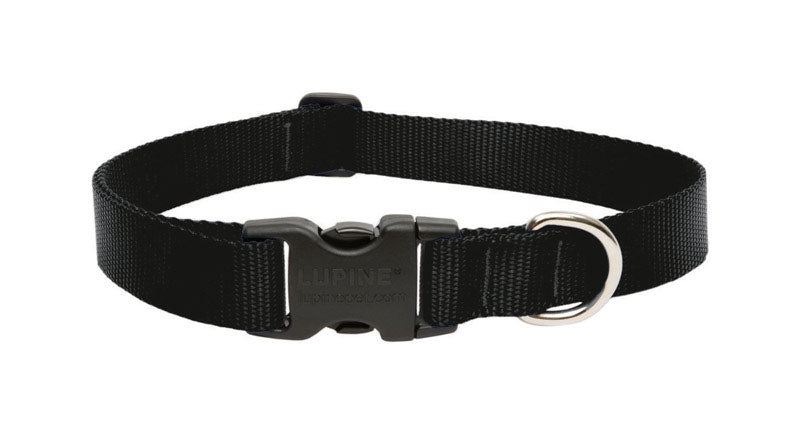 DOG COLLAR 16-28″ADJ BLK Hot on Sale