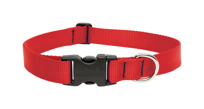 DOG COLLAR 12-20″ADJ RED Discount