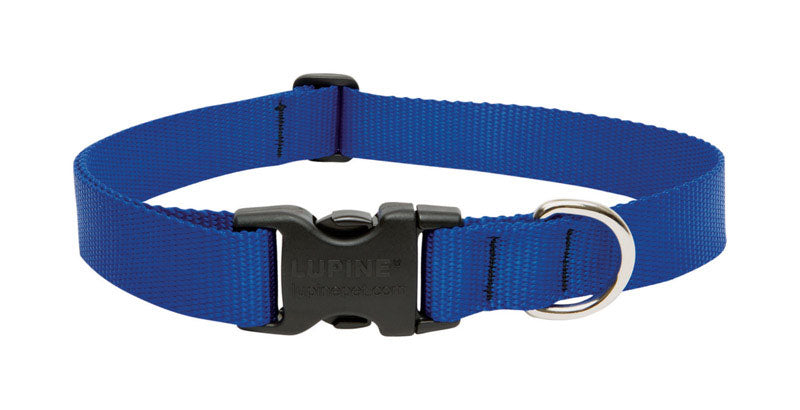 DOG COLLAR 12-20″ADJ BLU Online Sale