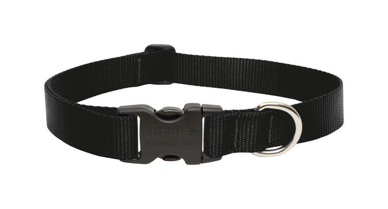 DOG COLLAR 12-20″ADJ BLK Online Hot Sale