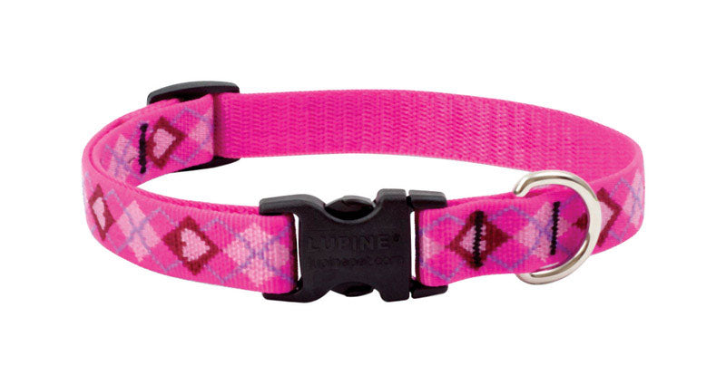 DOG COLLAR13-22ADJ PYLV Online
