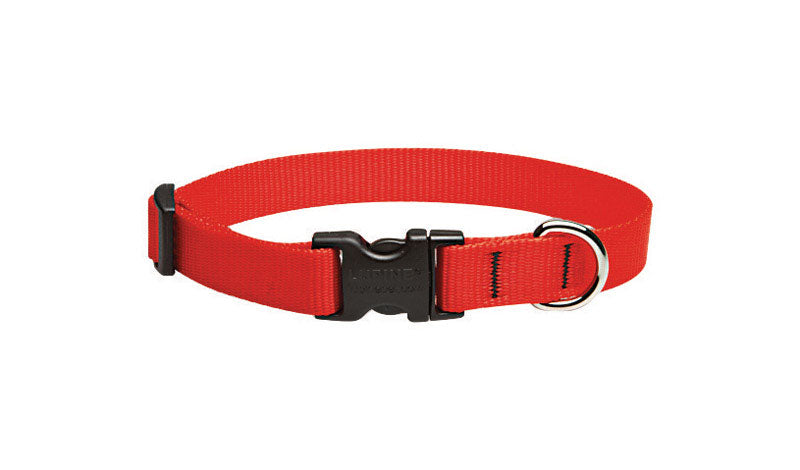 DOG COLLAR 9-14″ ADJ RED Sale