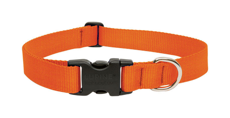 DOG COLLAR16-28″BLZORNG Discount