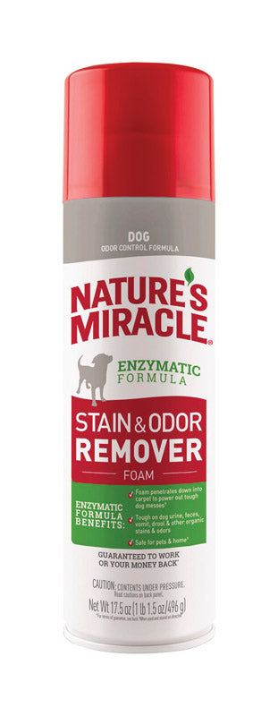 DOG STAIN&ODOR RMV17.5OZ Discount