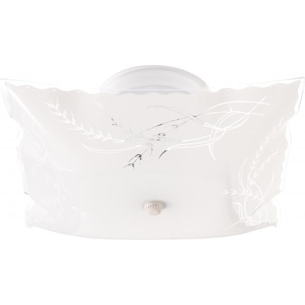 2 LIGHT 12″ CEILING FIXTURE Fashion