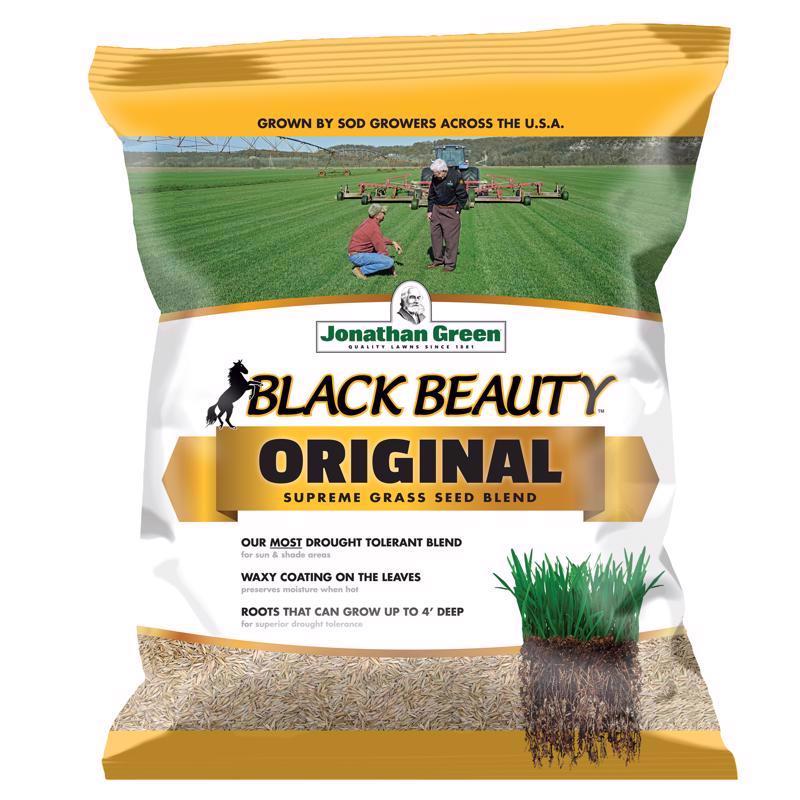 BLACK BEAUTY GRS SEED 5# Online Sale