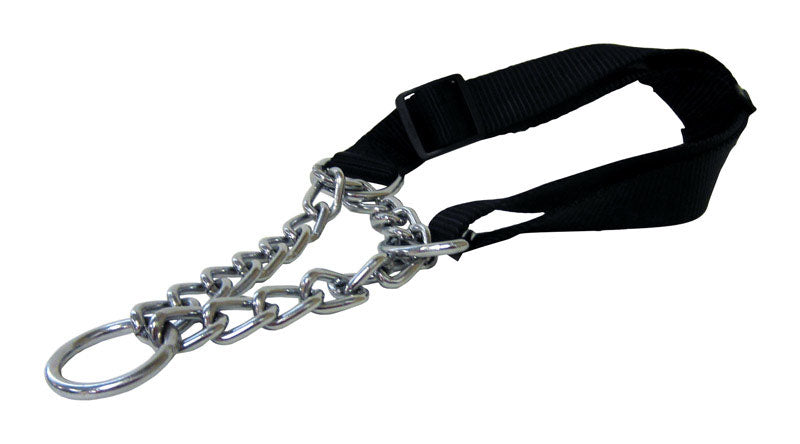 BLACK COLLAR MARTINGALE Online now