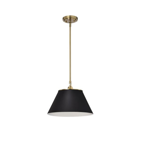 DOVER 1 LIGHT MEDIUM PENDANT Supply
