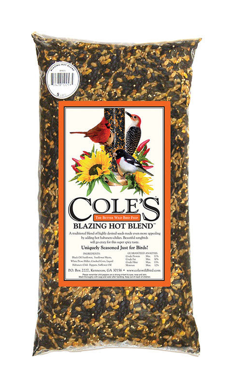 BLAZING HOT BIRD SEED20# Hot on Sale