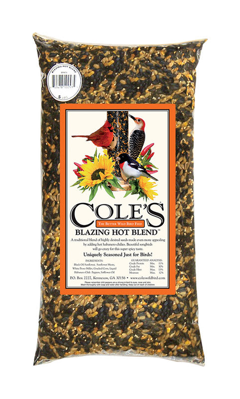 BLAZING HOT BIRD SEED10# Hot on Sale