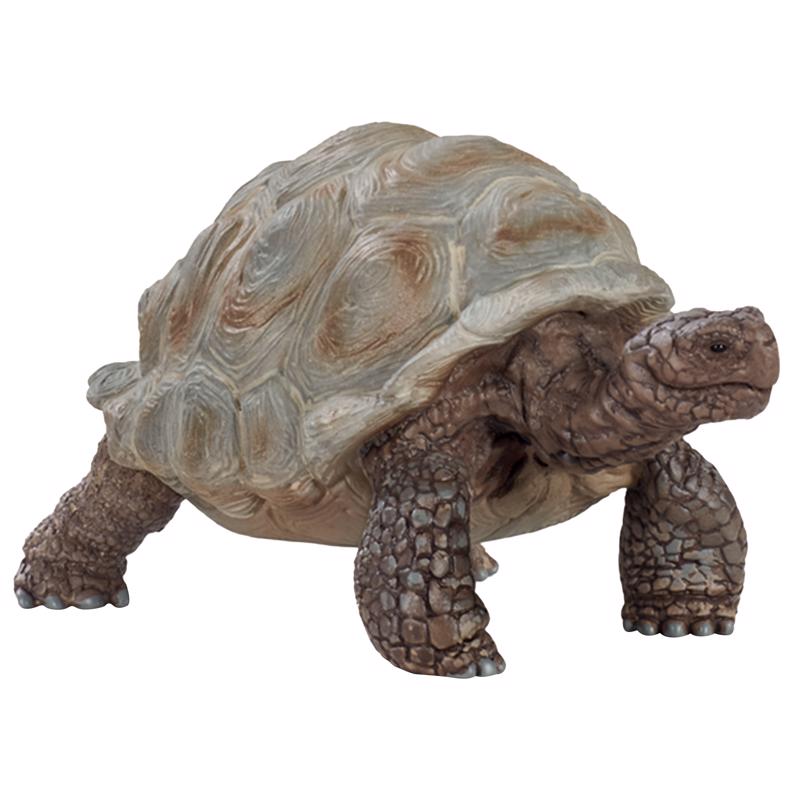 GIANT TORTOISE TOY 3-8Y Fashion