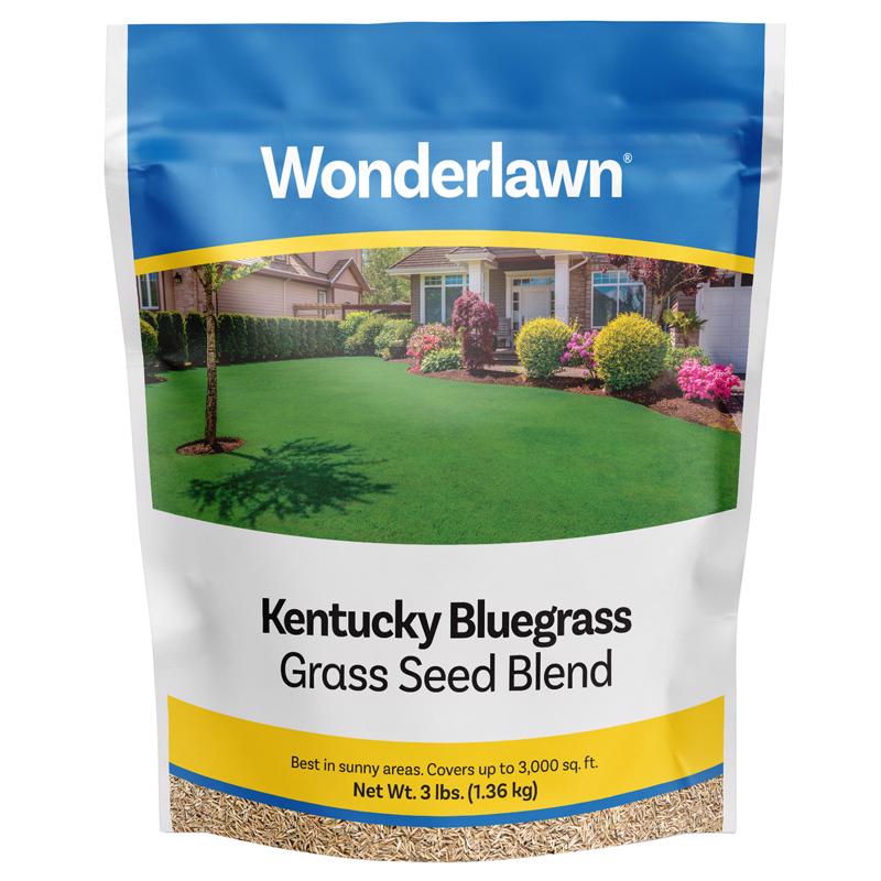 GRASS SEED KENTUCKY 3LB Online