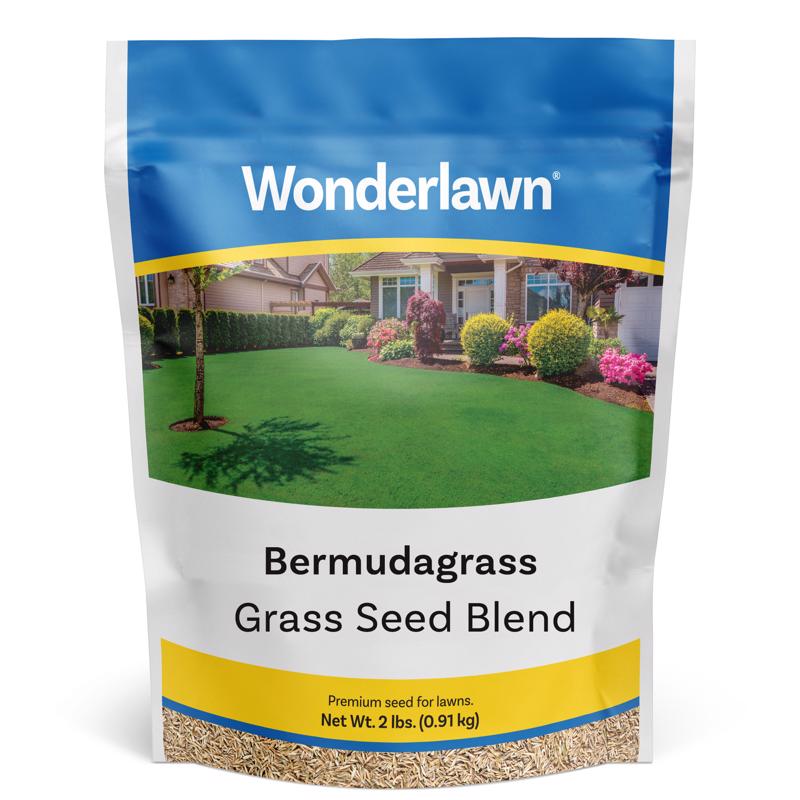 GRASS SEED FULL SUN 2LB Online