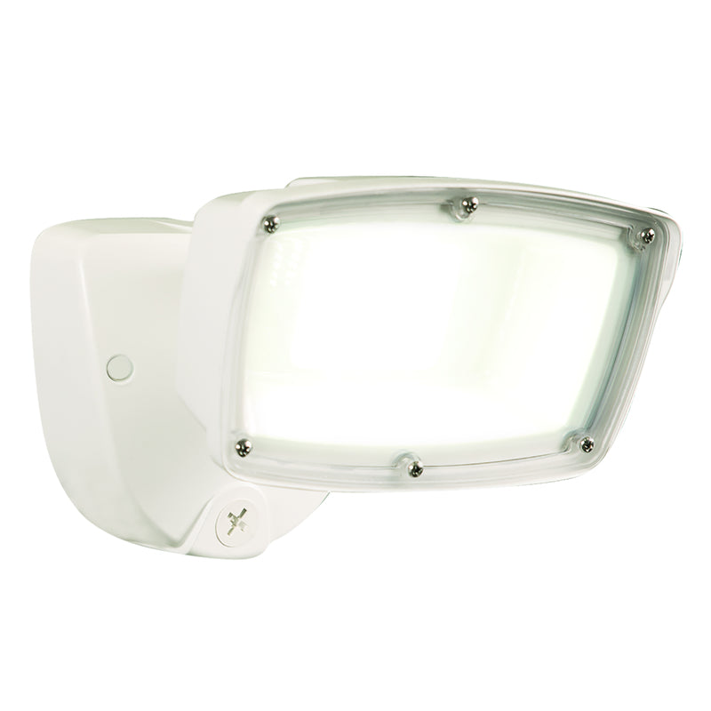 LED FLOODLIGHT 5800L Fashion