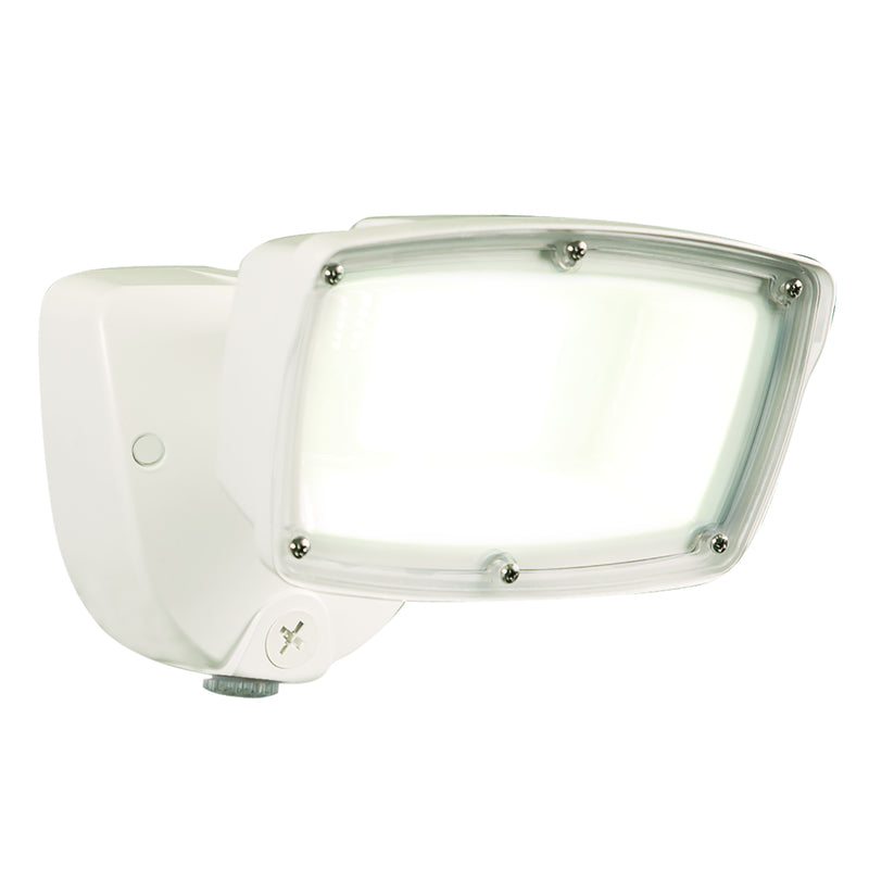 LED FLOODLIGHT D2D 5800L Online Sale