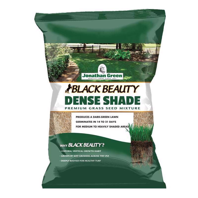 GRS SEED BLKBTY DNS7# Sale