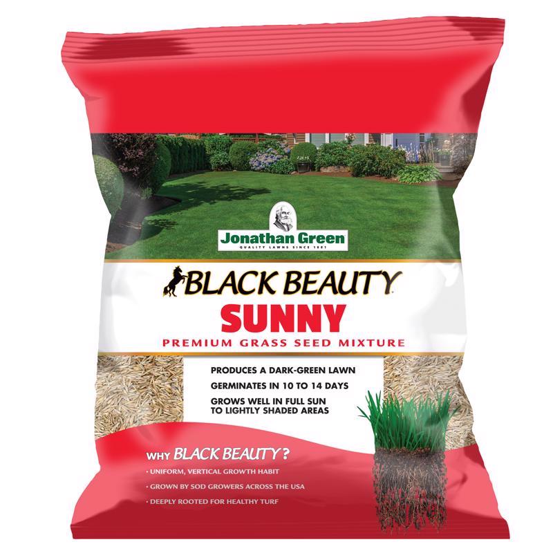 GRS SEED BLKBTY SUN 3# Online Sale