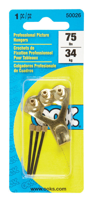 HANGER PICT SHLD 75# CD1 Online